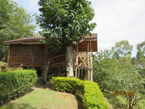 Carrie's cabin on the island.